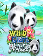 วิธีเล่น slot joker true wallet ไม่มี ขั้น ต่ํา สำหรับมือใหม่