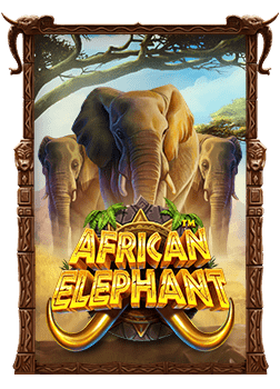 แทงเทนน ส sbobet: เคล็ดลับและสูตรเด็ด